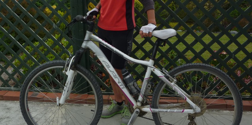 Comfort or trail bike