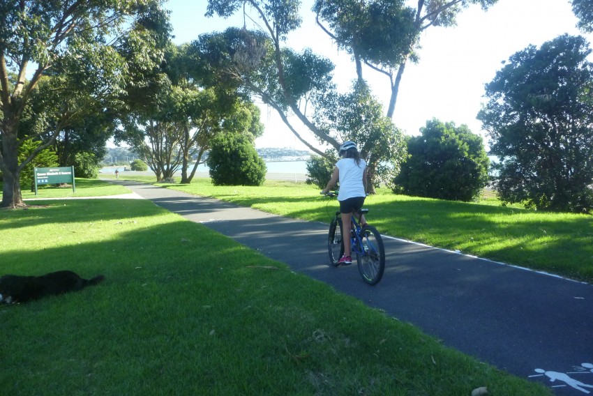 Smooth cycle pathway. Buy the right bike.goRide