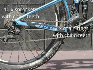 chain teeth sprockets chainrings goride