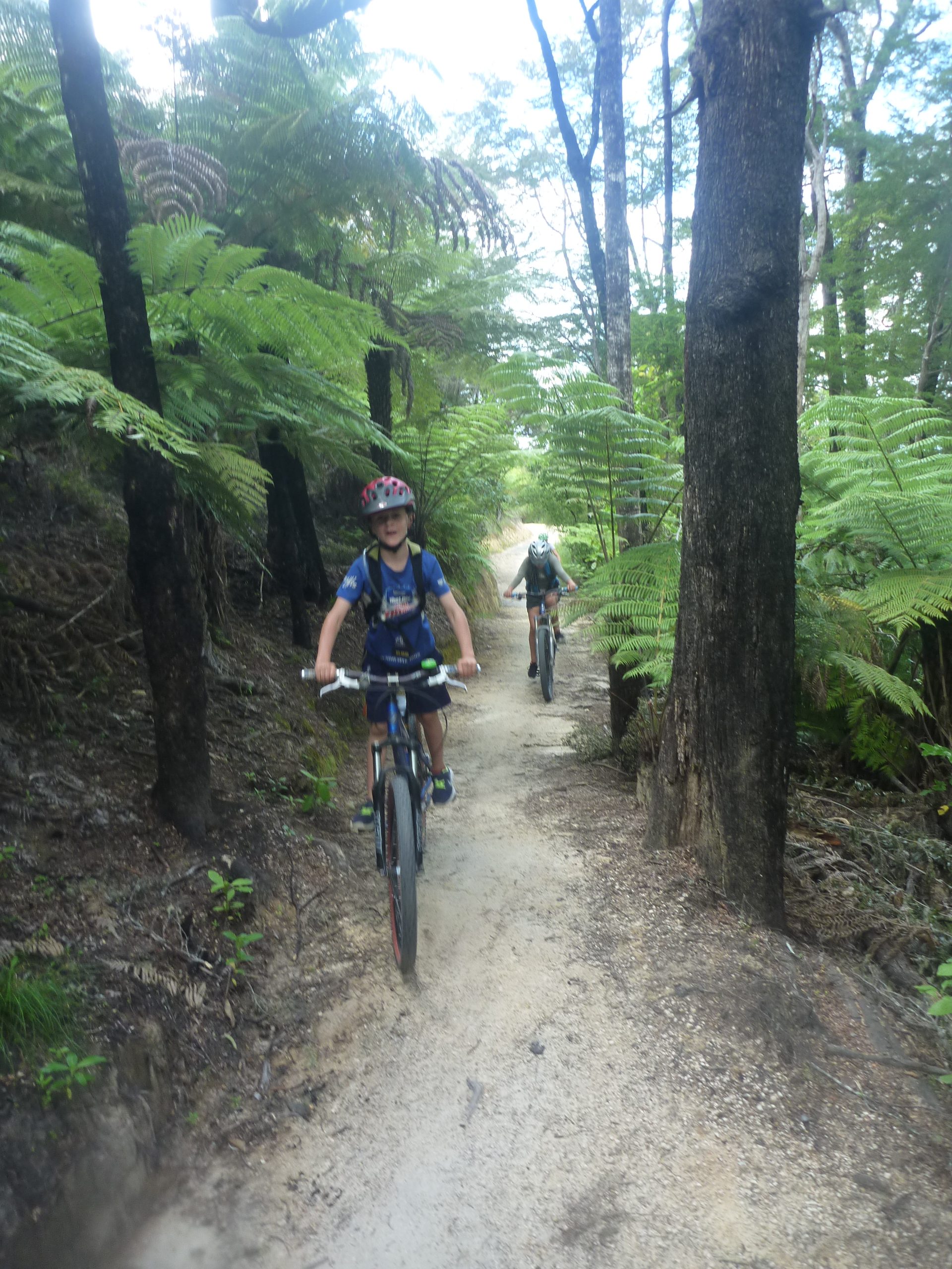Kaiteriteri Mountain Bike Park with Kids