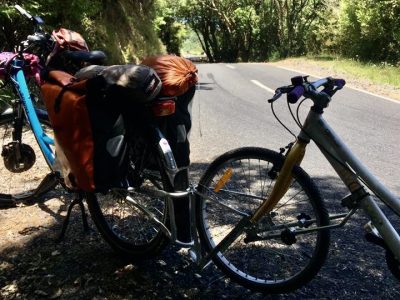 Electric bike & towing kids