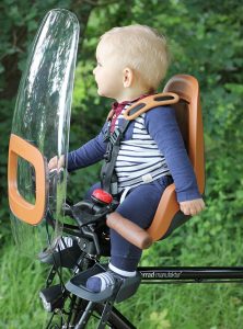 Choose the correct chamois