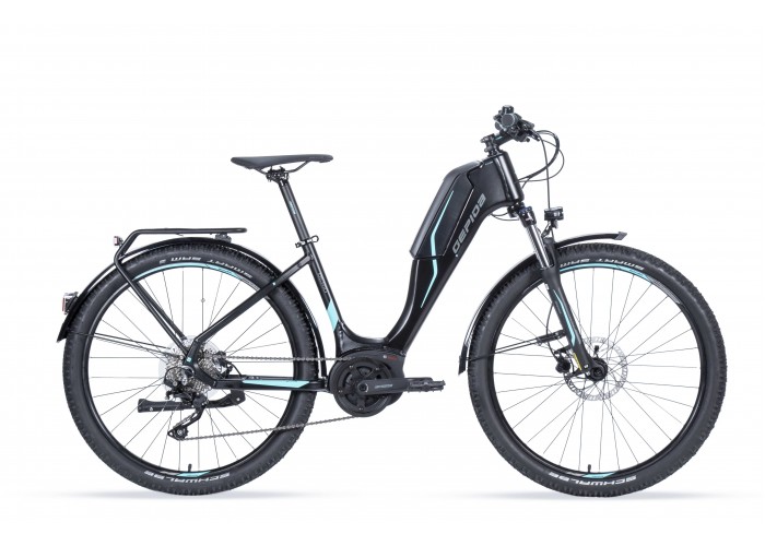 Choose the correct chamois