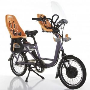 Choose the correct chamois