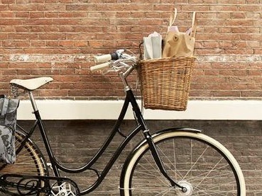 endurance padded pant & chamois cream