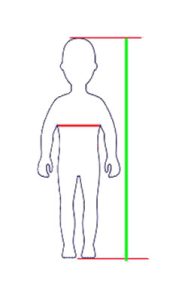 height-and-chest-measurement • goRide.co.nz